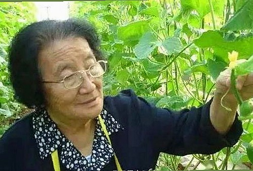 娱乐圈幕后风云揭秘：吃瓜小记与投稿指南