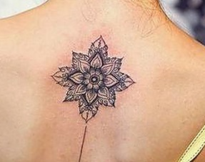 91樱花免费版上线，带你轻松吃透明星娱乐圈的最新黑料！